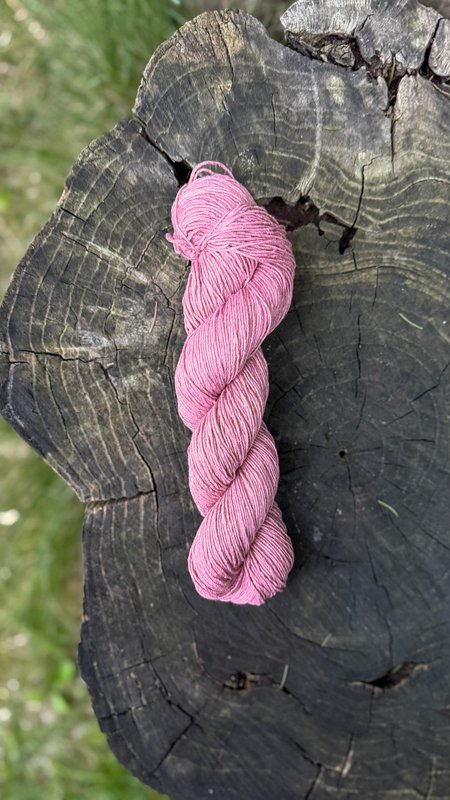 letnia 100g / hibiskus